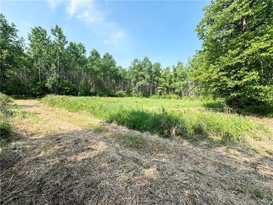 Multiple areas perfect for food plots throught thi