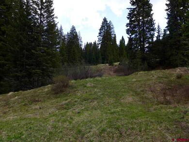 0 Red Mountain Ranch Lower Loop unit 758365, Crested Butte, CO 81224 - photo 5