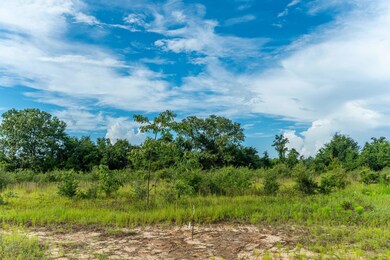 13-web-or-mls-Long Branch Farms Parcel-2