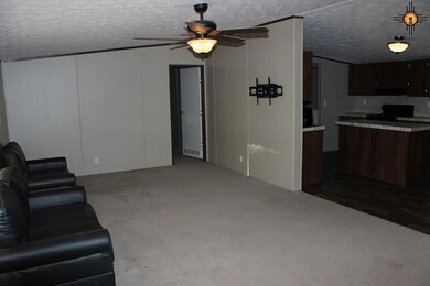 4208 Willow St, Carlsbad, NM 88220 - photo 3