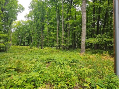 Access to Power Lines