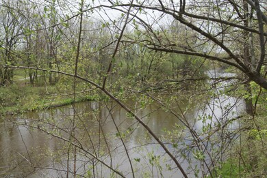 Lot 5 Whitetail Trail, Mount Pleasant, MI 48858 - photo 5