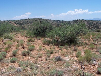 74.66ac 2 Lots Highpoint Rach unit 303-311, Willcox, AZ 85643 - photo 4