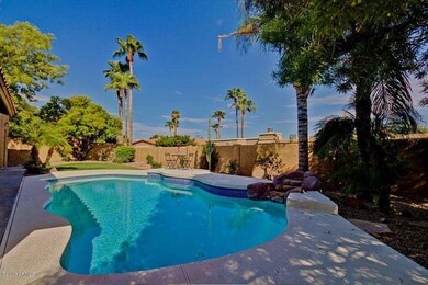 Secluded backyard!