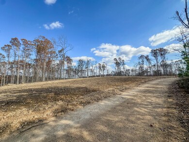 0 Firetower Rd unit RTC3051325, Centerville, TN 37033 - photo 4