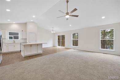 5653 Sun Bear Dr, House Springs, MO 63051 - photo 5