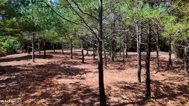 DJI_20250605160535_0677_D.00_00_09_28.St