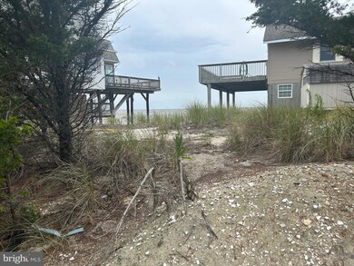 196 194 Cove Rd, Downe, NJ 08345 - photo 2