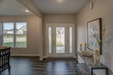 1125 Pisa Dr, Caseyville, IL 62232 - photo 4