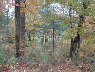 23 Country Club Heights, Monson, MA 01057 - photo 7