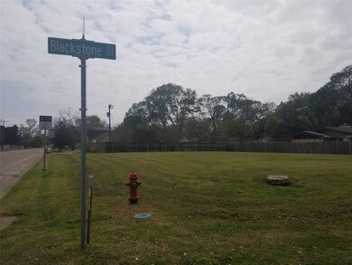 0 Hood and Blackstone unit 96555396, Alvin, TX 77511 - photo 2