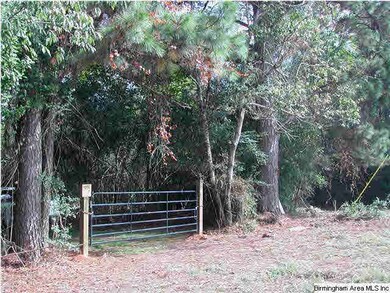 New gate