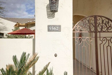 Mesquite Grove1 (83)