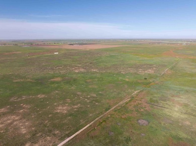 40_Acres_Stoker-6