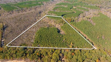 0 Old Highway 18 unit RTC2588334, Stewart, TN 37175 - photo 3