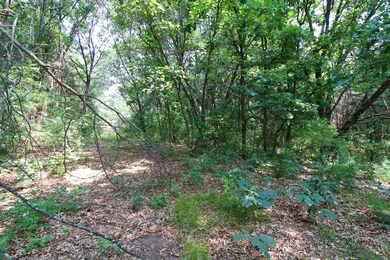 10 Acres 3rd, Coloma, WI 54930 - photo 2