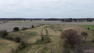 000 Celeste Estates Dr, Waterloo, IL 62298 - photo 7