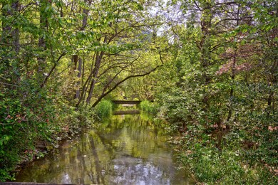 Creek2