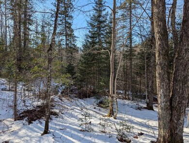 Yard covered in snow featuring a wooded view