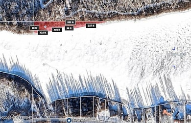 Screenshot 2025-06-10 at 12.03.08PM