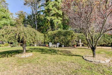 023_Backyard