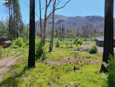 52958 Mckenzie Hwy, Blue River, OR 97413 - photo 3