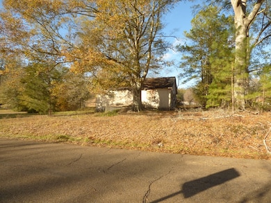 730 25th St, McComb, MS 39648 - photo 3