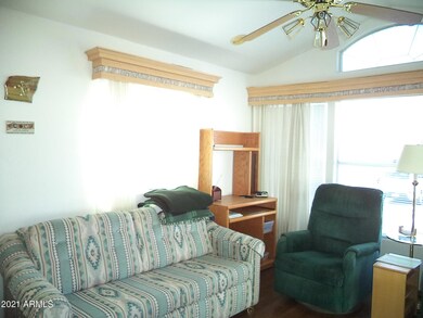 Living Area (Pull out couch)
