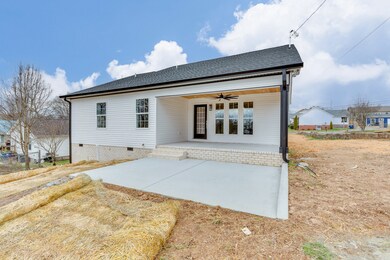 203 Shelbyville Mills Rd, Shelbyville, TN 37160 - photo 3