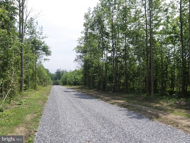 LOT A Shortly Rd, Georgetown, DE 19947 - photo 4