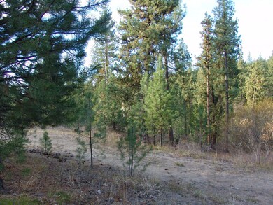 10 Rehn Loop unit 1, Cascade, ID 83611 - photo 3
