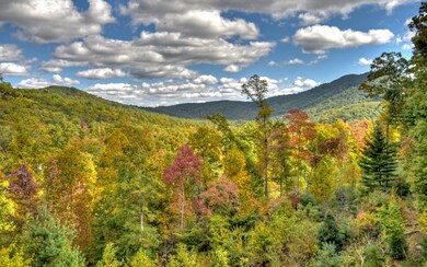 352 Shepherds Walk, Morganton, GA 30560 - photo 3