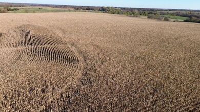 52 Scarlet Ave, Bloomfield, IA 52537 - photo 6