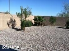 Back Yard 3