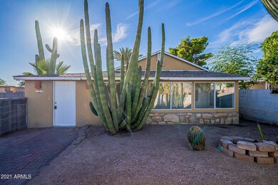 Saguaro-8