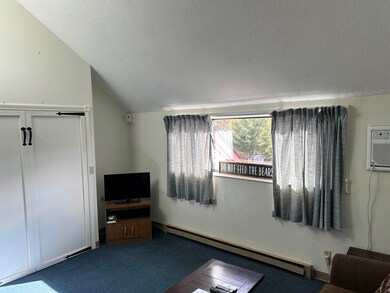 23 Black Bear Rd unit 603, Waterville Valley, NH 03215 - photo 4