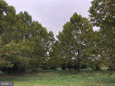 0 Lindbergh unit WVJF2000027, Summit Point, WV 25446 - photo 4