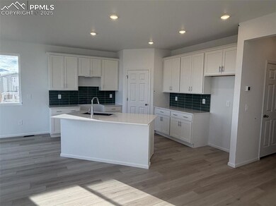 10743 Finsbury Ct, Falcon, CO 80831 - photo 2