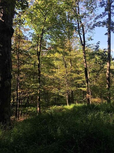 221 Tow Path Rd, Accord, NY 12404 - photo 5