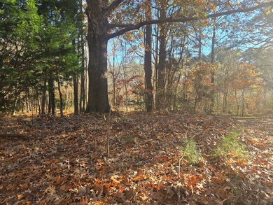 8396 Wellington Neck Rd unit 14, Franktown, VA 23355 - photo 3