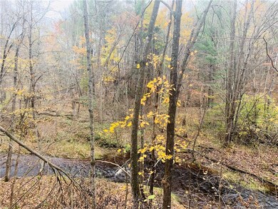 0 28th St unit 1537139, Chetek, WI 54728 - photo 5