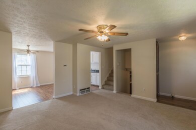 3756Aurelia-2237