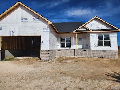 51 Juniper Dr, Rainsville, AL 35986 - photo 3