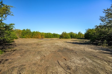 Lot 1 Fm 1566, Wolfe City, TX 75496 - photo 4