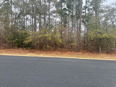 Lot 20 Maidstone Way, Aiken, SC 29803 - photo 3