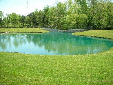 Pond at far end of backyard.