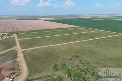 TBD Roughrider Rd, Broadview, MT 59015 - photo 5