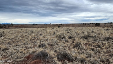 126 N Laguna Dr Lot B, Williams, AZ 86046 - photo 5