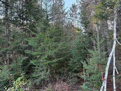 Lot 2 Plantation Rd, Enterprise, WI 54463 - photo 4