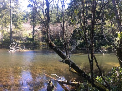 5736 Martin Rd, Florence, OR 97439 - photo 3